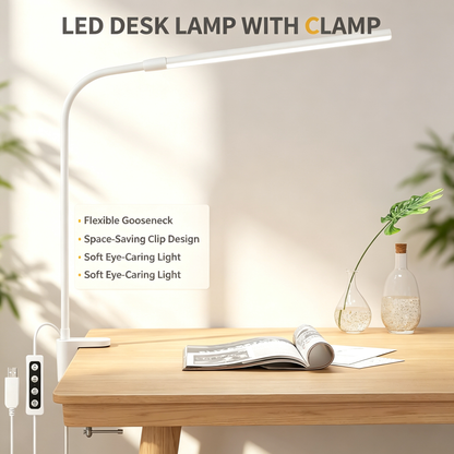 LED Desk Lamp with Clamp